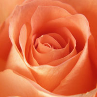 マンション売却10-3